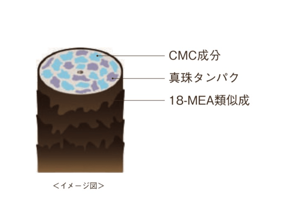 CMC成分 18‐MEA類似成分 真珠タンパク 画像